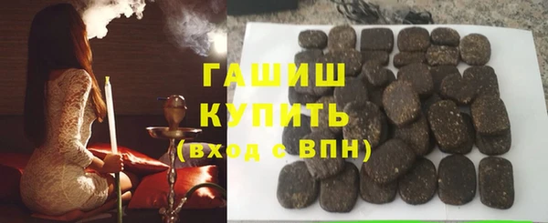 дживик Бородино