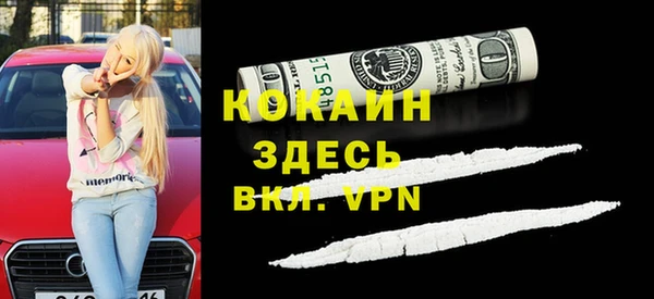 дживик Бородино