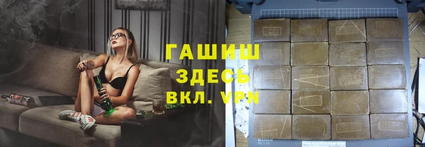 дживик Бородино