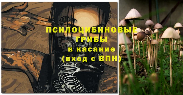 дживик Бородино