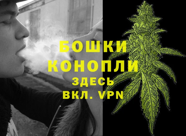 дживик Бородино