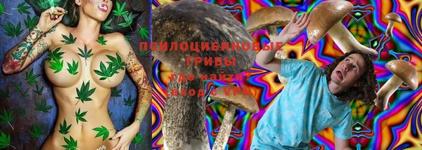 дживик Бородино