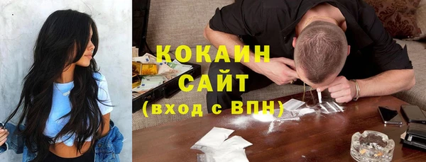 дживик Бородино