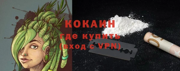 дживик Бородино