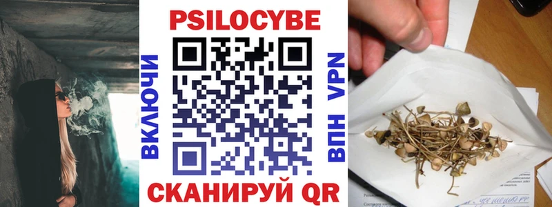 Псилоцибиновые грибы Cubensis  mega сайт  Сибай 